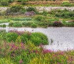 Candidate Information and Application Pack 2021 - bbowt