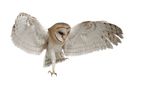 Candidate Information and Application Pack 2021 - bbowt