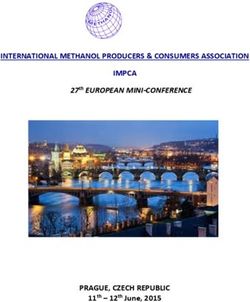 INTERNATIONAL METHANOL PRODUCERS & CONSUMERS ASSOCIATION IMPCA - 27th EUROPEAN MINI-CONFERENCE