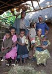THE DONKEY SANCTUARY TRUSTEES REPORT AND ACCOUNTS 2012