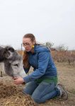 THE DONKEY SANCTUARY TRUSTEES REPORT AND ACCOUNTS 2012