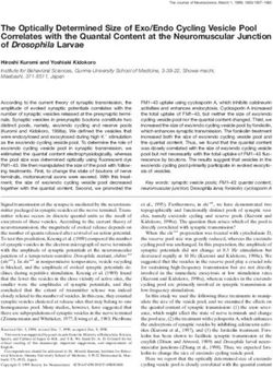 The Optically Determined Size of Exo/Endo Cycling Vesicle Pool Correlates with the Quantal Content at the Neuromuscular Junction of Drosophila Larvae