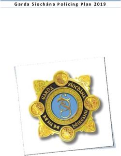 Garda Síochána Policing Plan 2019 - Garda.ie