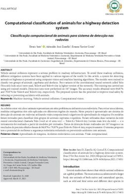 Computational classification of animals for a highway detection system