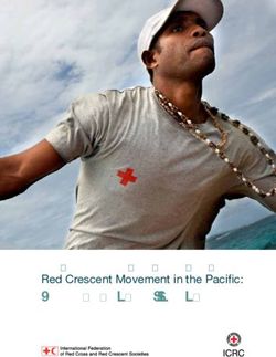 Rising to the challenge - The International Red Cross and Red Crescent Movement in the Pacific: ICRC