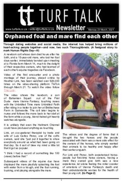 Orphaned foal and mare find each other - Turf Talk