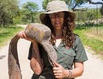 ALIVE Studying Kruger's elephants for 20 years!