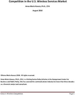 Competition in the U.S. Wireless Services Market - Georgetown Center ...