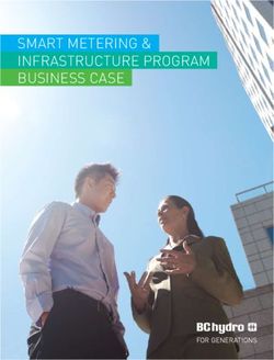 SMART METERING & INFRASTRUCTURE PROGRAM BUSINESS CASE