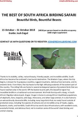 THE BEST OF SOUTH AFRICA BIRDING SAFARI - Beautiful Birds, Bountiful Beasts - Red Hill Birding