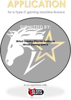 APPLICATION SUBMITTED BY: for a Type-C gaming machine licence - Eastern Cape Gambling ...