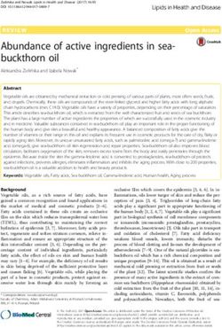 Abundance of active ingredients in sea-buckthorn oil - Absolute Organix