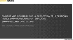 POINT DE VUE INDUSTRIEL SUR LA PERCEPTION ET LA GESTION DU RISQUE D'APPROVISIONNEMENT EN CUIVRE SEMINAIRE COMES DU 17 MAI 2021