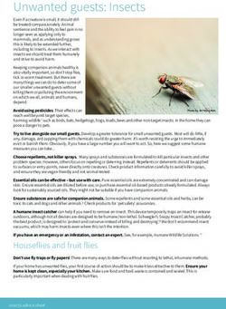 Unwanted guests: Insects - Animal Aid