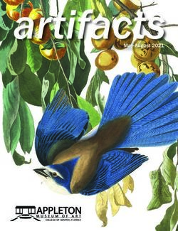 Artifacts May-August 2021 - Appleton Museum of Art