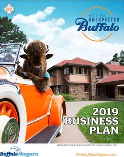 BUSINESS PLAN 2019 - UNE X PEC TED MEET THE - Visit Buffalo Niagara