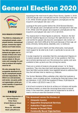 General Election 2020 - Irish National Organisation of the ...