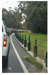Penguins and Island's traffic challenges - South East Australian ...