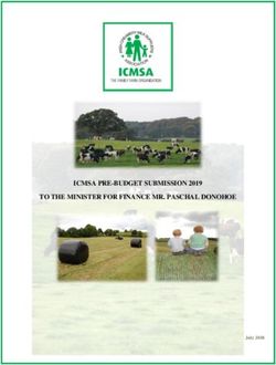 ICMSA PRE-BUDGET SUBMISSION 2019 TO THE MINISTER FOR FINANCE MR. PASCHAL DONOHOE