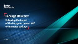Package Delivery! Unboxing the impact of the European Union's VAT e-commerce package