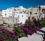 POLIGNANO A MARE Photographs by Nicola Amato - Domenico matarrese - New Italian Books