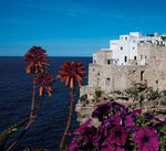 POLIGNANO A MARE Photographs by Nicola Amato - Domenico matarrese - New Italian Books