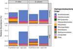 Functional redundancy of the methane-oxidising and nitrogen-fixing microbial community associated with Sphagnum fallax and Sphagnum palustre in ...