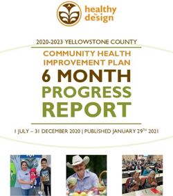 REPORT 6 MONTH PROGRESS - COMMUNITY HEALTH IMPROVEMENT PLAN - Healthy by Design
