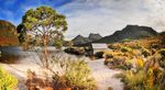 Tasmanian Highlights SOLOS ONLY 45 Years and Over - Encounter Travel
