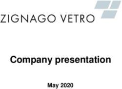 Company presentation May 2020 - Zignago Vetro