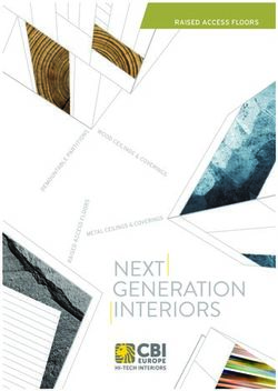 RAISED ACCESS FLOORS - CBI Europe