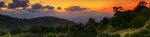 O'Reilly's Bird Week Autumn 2018 - Program March 4 - O'Reilly's Rainforest Retreat
