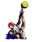 A Spectator's Guide to Water Polo