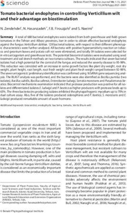 Tomato bacterial endophytes in controlling Verticillium wilt and their advantage on biostimulation - Sciendo