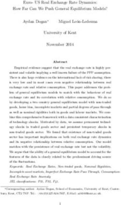 Euro- US Real Exchange Rate Dynamics: How Far Can We Push General Equilibrium Models?