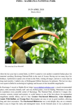 INDIA - KAZIRANGA NATIONAL PARK - 19-29 APRIL 2018