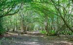 Toad Hall Lane End Common, North Chailey, Lewes, East Sussex, BN8 4JH - Batcheller Monkhouse