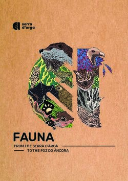 FAUNA FROM THE SERRA D'ARGA TO THE FOZ DO ÂNCORA