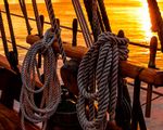 LIFE INSURANCE AWARENESS MONTH - AUGUST 2018 - Globe Life ESD