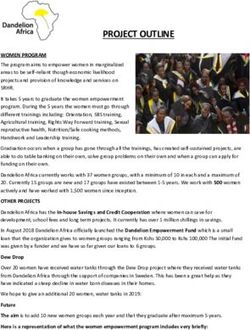 PROJECT OUTLINE - Dandelion Africa Sverige