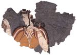 Ritual Significance in Mycenaean Hairstyles