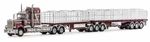 Drake Collectibles Introducing the 2021 Collection Brisbane Truck Show Edition - Precision in scale