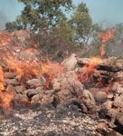 Rural Fire Bulletin MAY 2019 - IN THIS ISSUE