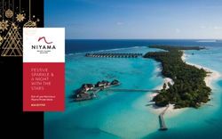 FESTIVE SPARKLE & A NIGHT WITH THE STARS