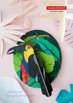 CATALOGUE Spring/Summer 2018 - Studio ROOF