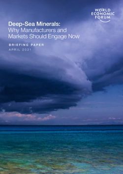 Deep-Sea Minerals: Why Manufacturers and Markets Should Engage Now - BRIEFING PAPER APRIL 2021