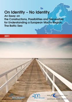 On Identity - No Identity - An Essay on the Constructions, Possibilities and Necessities for Understanding a European Macro Region: The Baltic Sea ...