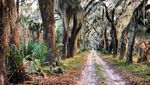 THIS IS YOUR GEORGIA LATE FALL 2021 - Georgia Conservancy