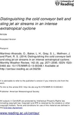 Distinguishing the cold conveyor belt and sting jet air streams in an intense extratropical cyclone