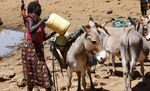 ILLICIT ECONOMIES CIVIL SOCIETY OBSERVATORY OF - Global Initiative against Transnational ...
